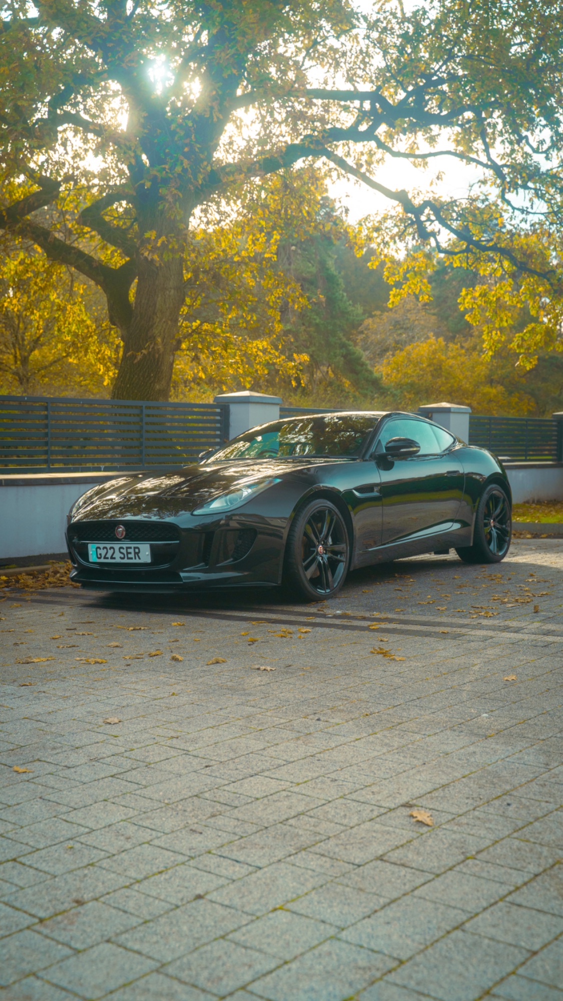 Victory Lap Detailing results