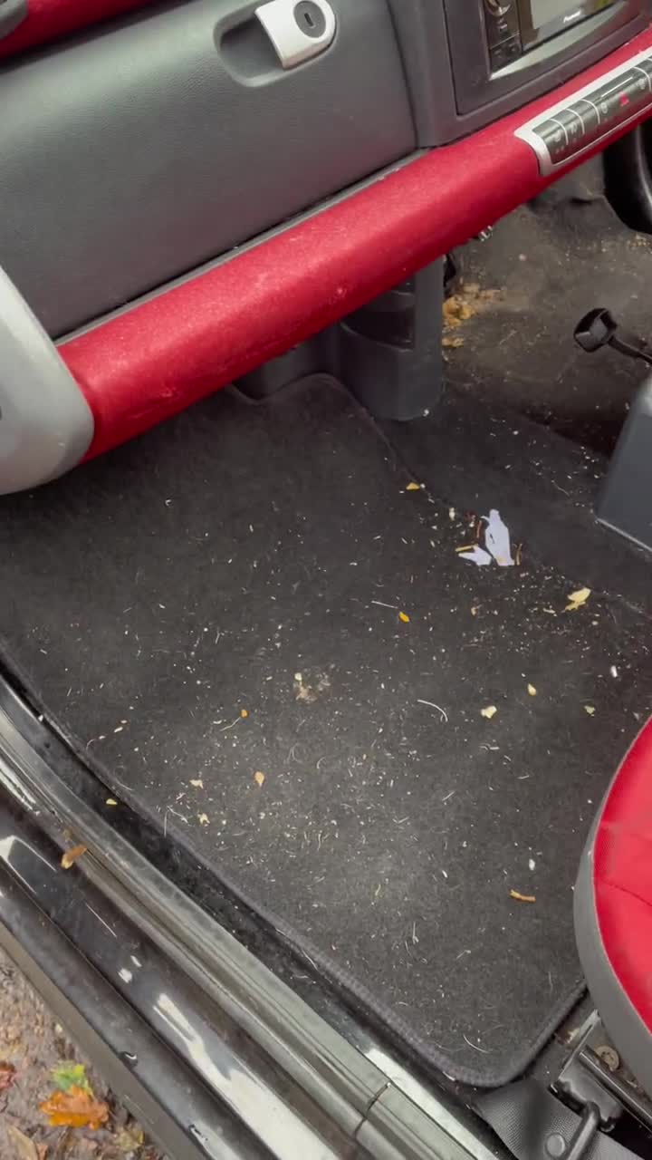 Victory Lap Detailing results